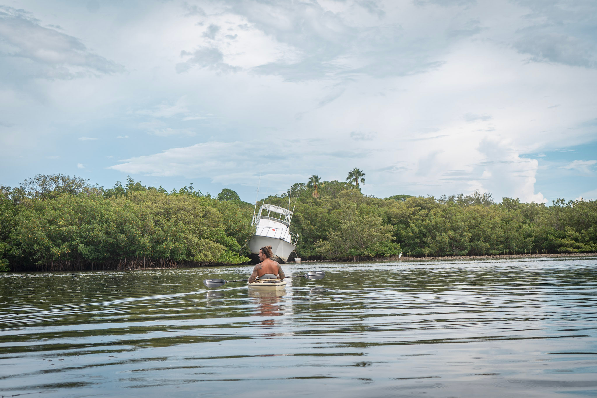 Kayaker passing a grounded boat in the mangroves